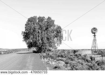 A Landscape, With A Windmill, Dam And Large Tree, On The Road Between Loxton And Fraserburg In The N