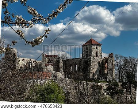 Tenczyn Castle - The Ruins Of A Castle Located In The Jura Krakowsko-częstochowska, Included In The 