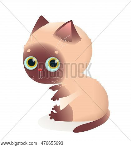 Funny Cute Siamese Cat With Silly Look. Adorable Kitten Illustration For Kids. Domestic Cat Animal V