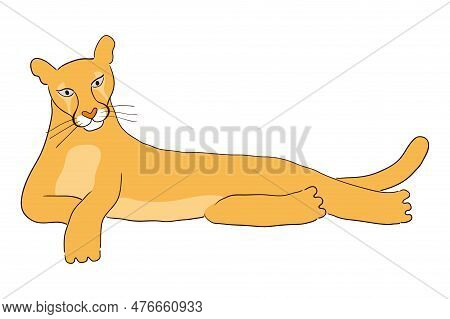 Cute Cougar Laying Down Hand Drawn Cartoon Character Illustration, Sketch. Line Art, Drawing Style D