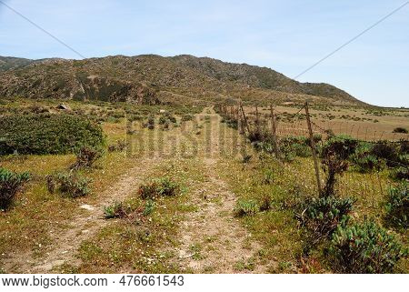 View Of The Campo Perdu Place, Asinara, Porto Torres