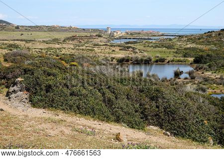 View Of The Campo Perdu Place, Asinara, Porto Torres