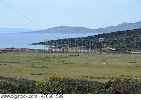 View Of The Campo Perdu Place, Asinara, Porto Torres