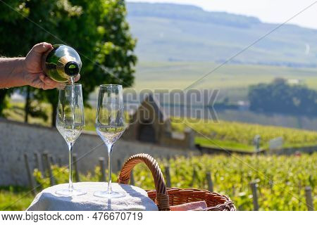 Tasting Of Premier Cru Sparkling White Wine With Bubbles Champagne With View On Green Pinot Noir, Me