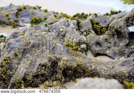 View On Playa De Borizo In Celorio, Green Coast Of Asturias, North Spain With Sandy Beaches, Cliffs,