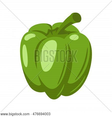 Sweet Green Bell Pepper
