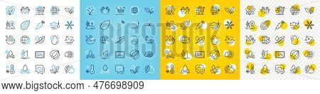 Vector Icons Set Of Fisherman, Salad And Water Splash Line Icons Pack For Web With Hazelnut, Apple, 
