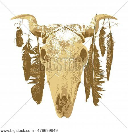 Ethnic Indian, American Or Mexican Bull Or Cow Skull With Feathers On Horns. Vector Illustration, Lo