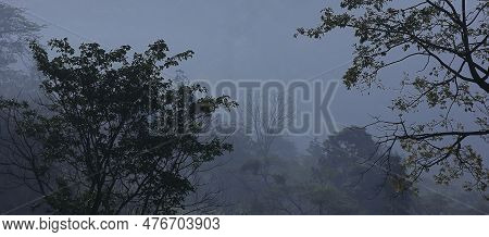 Foggy And Misty Tropical Forest Of Terai Region, Located On Himalayan Foothills In West Bengal, Indi