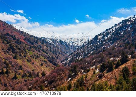 Beldersay Mountain In Tian Shan Range, Chimgan Region Near Taskent City In Uzbekistan In Spring, Vie