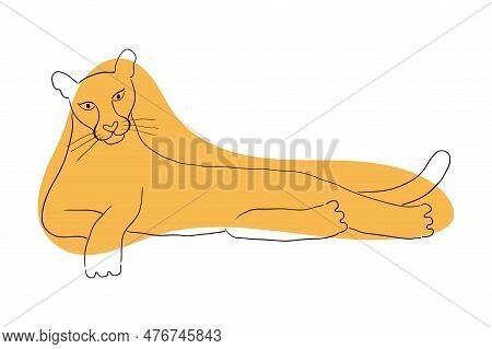 Cute Cougar Laying Down Hand Drawn Cartoon Character Illustration, Sketch. Line Art, Drawing Style D