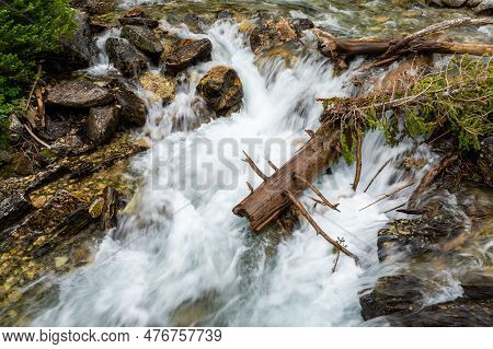 Water From Paintbrush Creek Pummels Rocks And Fallen Trees In Paintbrush Canyon In Grand Teton Natio