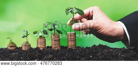 Corporate Business Invests In Environmental Subsidies With Hand Grow Seedlings On Coin Stack For Nat