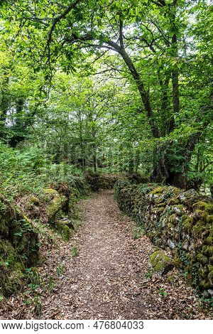 Beautiful Hike Through The Canyon Del Sil At Parada De Sil In Galicia, Spain, Europe