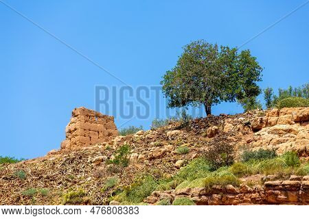 An Isolated Tree And An Ancient Wall In The Region Of Azilal