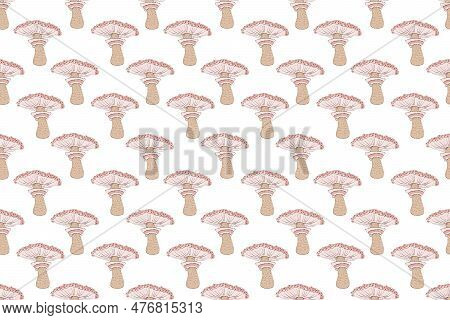 Seamless Pattern Of Mushrooms. Hand Drawing Illustration In Cartoon Style Isolated On White.