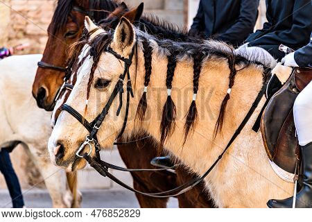 Beautiful Black Horse Pulling A Carriage At The Tres Tombs Festival In Igualada Barcelona