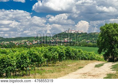 Pannonhalma Archabbey With Vine Grapes In The Vineyard, Hungary. Beautiful Vineyard Landscape With B