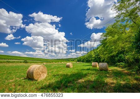 Hay Bales On The Farmfield Near The Forest, Hungary.