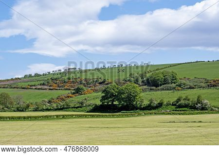 Pastoral Scene On The Isle Of Bute, Scotland