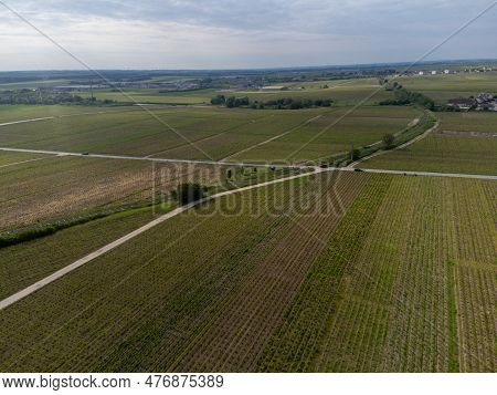 Panoramic Aerial View On Green Grand Cru Champagne Vineyards Near Villages Avize And Oger, Cotes Des