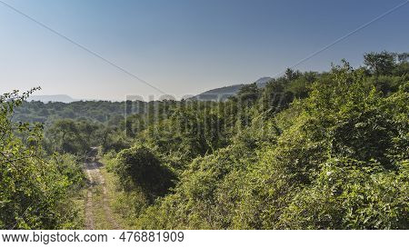 A Narrow Dirt Safari Road Runs Through The Jungle. Ruts On The Ground. On The Roadsides - Impassable
