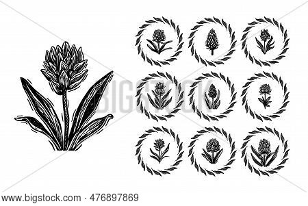 Linotype Floral Icon Collection In Whimsical Vector Art. Decorative Foliate Design For Rustic Botany