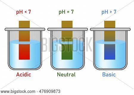 Ph Paper Indicator Image & Photo (Free Trial) | Bigstock