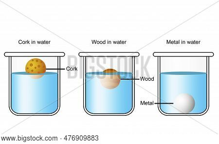 Solids Of Different Densities In Beakers, 3d Rendering