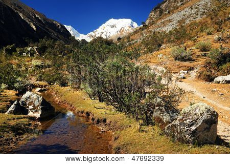 Højtliggende vegetation på Cohup Valley, Cordiliera Blanca, Gennemlæsning, Sydamerika