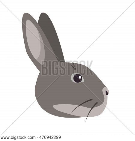 Gray Rabbit Or Hare Face Or Head Side View. Wild Forest Or Farm Animal Or Pet Icon. Bunny Rabbit. Ve