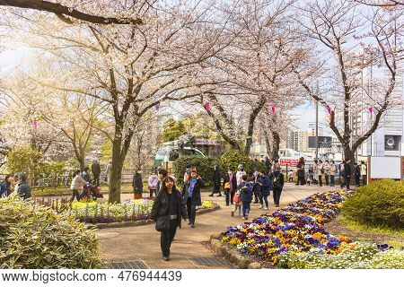 Tokyo, Japan - March 30 2023: People Arriving By The Monorail Asukarugo For Enjoying The Somei Yoshi