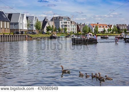 Harderwijk, Netherlands - May 22, 2022: Geese And Boats In The Harbor Of Harderwijk, Netherlands