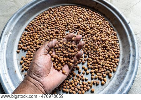 The Chickpea Or Chick Pea (cicer Arietinum) Is An Annual Legume Of The Family Fabaceae, Subfamily Fa