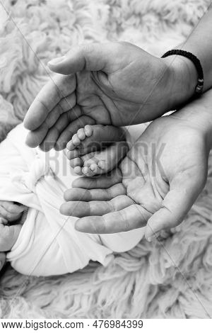 Feet Of The Newborn On The Palms Of The Parents. The Palms Of The Father And Mother Are Holding The 