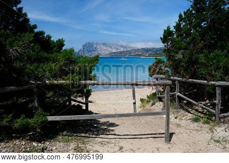 The Beach Of Capo Coda Di Cavallo, In Background The Island Of Tavolara