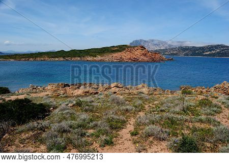 The Coast Of Capo Coda Di Cavallo, In Background The Island Of Tavolara
