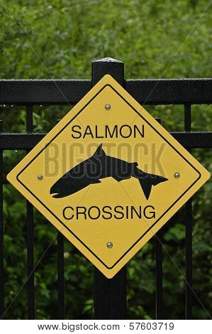 Wild salmon Crossing Sign In Vancouver Canada