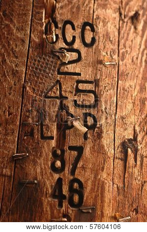 Numbers Carved On A Trunk