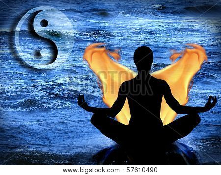 Ying-yang Harmony