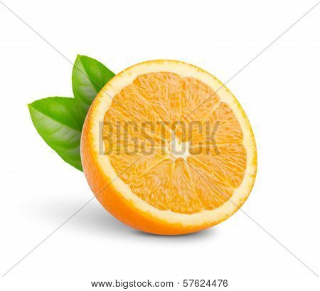 Cut Into Half Oranges