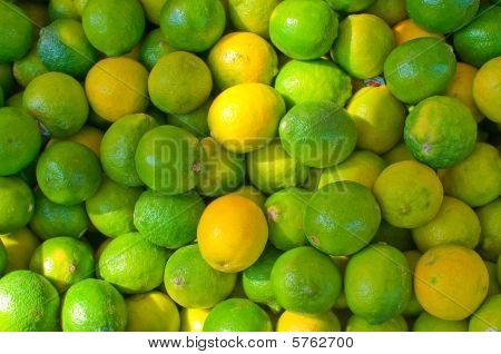 Limes