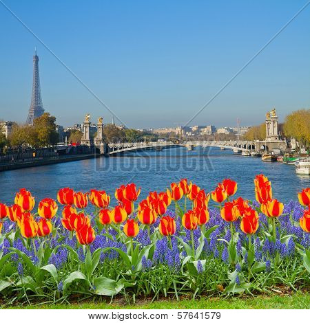 Bridge of Alexandre III, Paris
