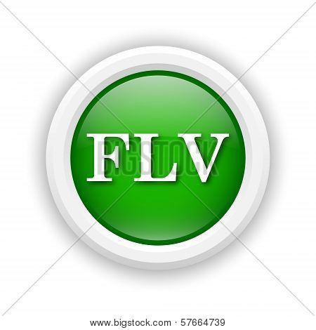 Flv Icon