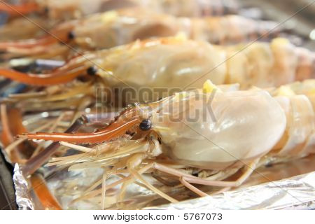 RAW keisarihummerin katkaravut