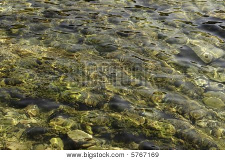 Meer