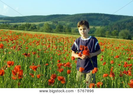 Boy im Bereich der Mohn Blumen