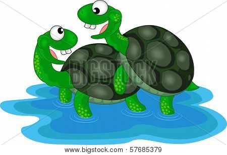 Romantic Turtles Cartoon