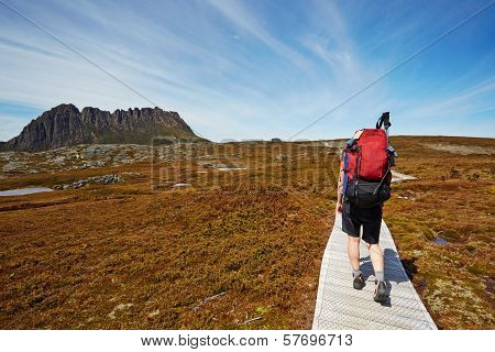 Female Hiker On The Overland Trail, Cradle Mountain, Tasmania