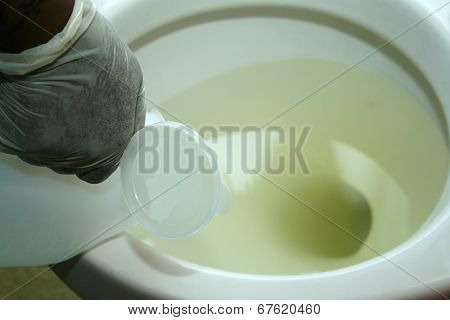 Urinal Being Emptied with Latex Rubber Gloves